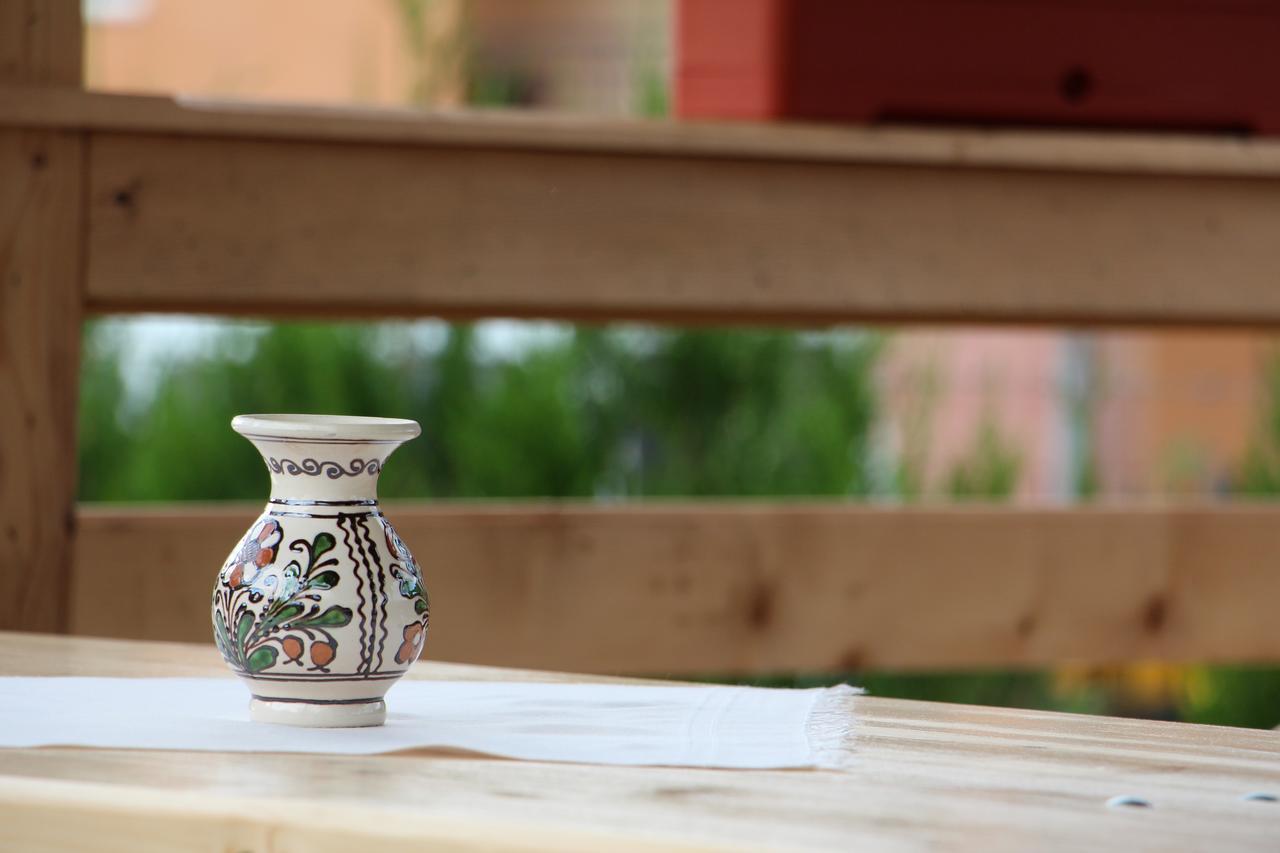מלון מויסי Casa Ralucai מראה חיצוני תמונה